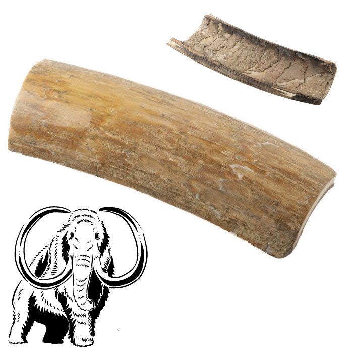 laguiole mammoth ivory bark