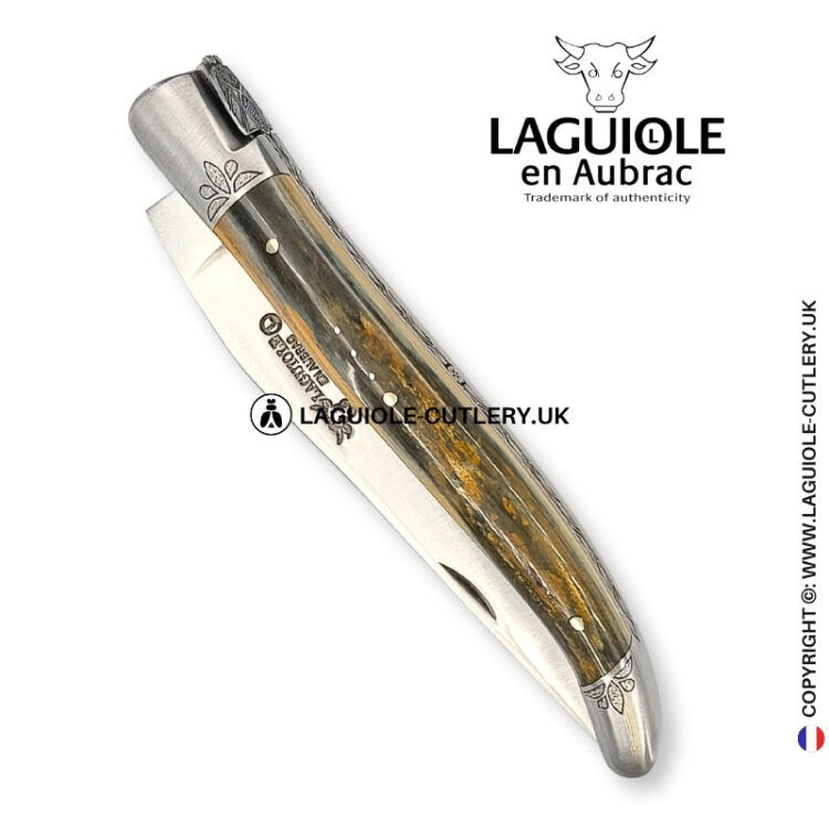 arctic heritage: laguiole knife in green blue fossilized ivory – chiseled bolsters and spring