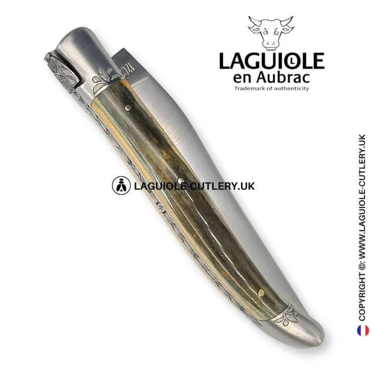 arctic heritage: laguiole knife in green blue fossilized ivory – chiseled bolsters and spring